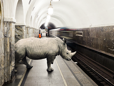 Rhino in the subway collage illustration rhino subway