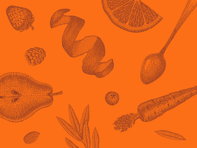 Varenievar Book alexeymalina berry book editorial fruits illustration orange recipe