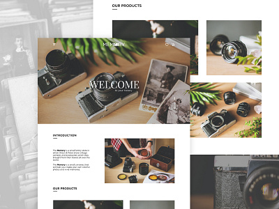 The Memory | Landing Page design e commers home page interface landing landing page one page portfolio ui ux web