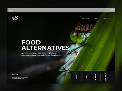 Landing Page | Food Alternatives alternative ants design food interface landing landing page minimal page portfolio ui ux web website