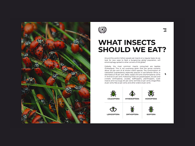 Transition between pages | Food Alternatives alternative animation ants design food interface landing page minimal ui ux website