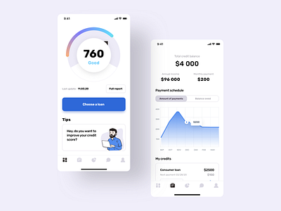 Credit Score App Concept