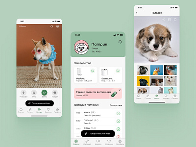 App concept for automatic pet feeder @design line @dl pro @uidesign @uxdesign @uxui app design pets ui