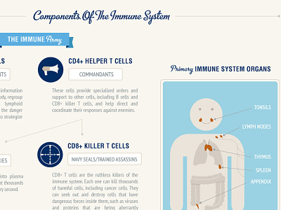 Cancer Immunotherapy Infographic cancer health immune system immunotherapy infographic science