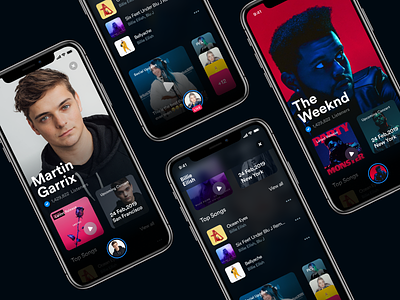 Artist Page iphone music ui ux