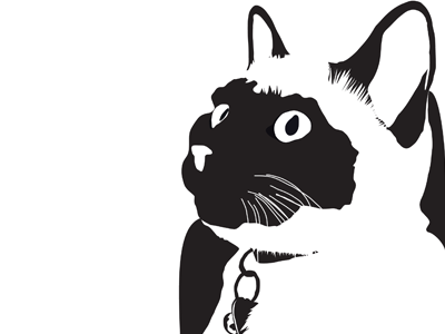 My Cat in black and white art black and white cat illustration simple vector