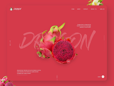 Beautiful and Bold! Website Design bold design branding bright design design dragon fruit homepage design inspiration pink design red design ui ux web design website website design