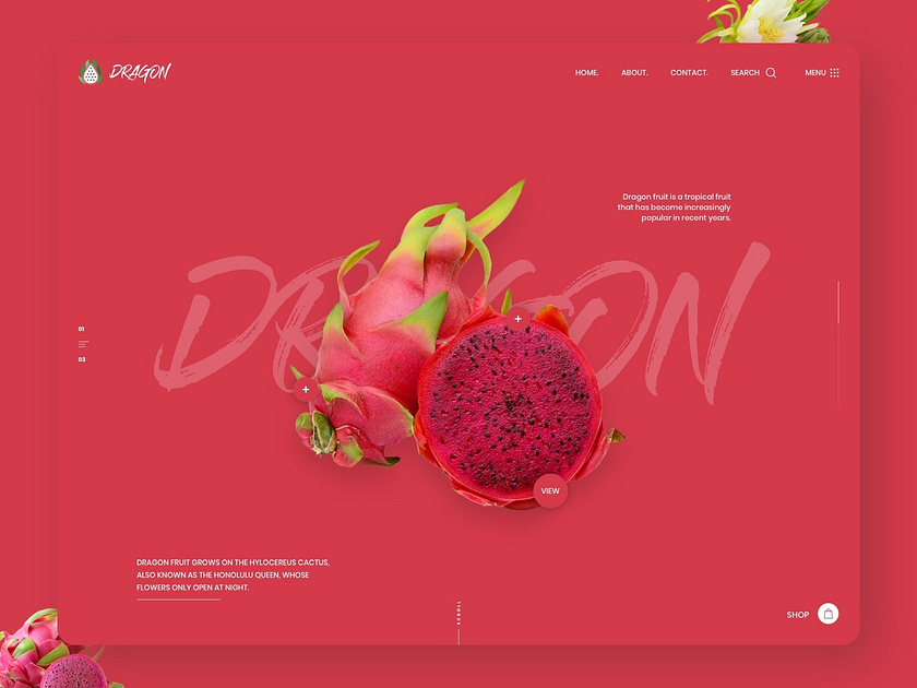 Beautiful And Bold Website Design By Luke Peake For Tib Digital On