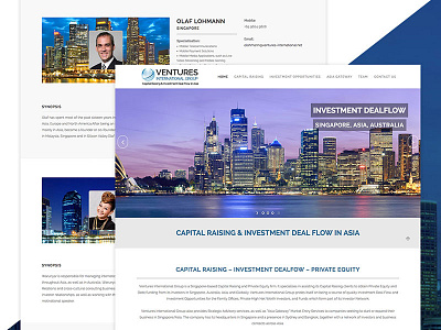 Ventures International design responsive ui ux wordpress