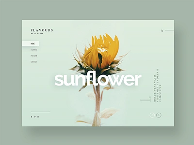 Advice from a Sunflower bright clean design desktop flower font happy sunflower ui ux website