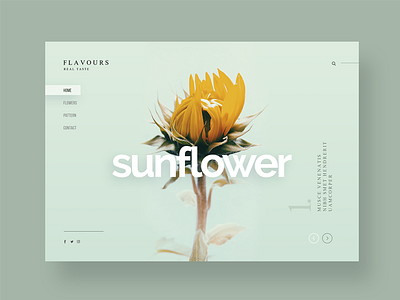 Advice from a Sunflower bright clean design desktop flower font happy sunflower ui ux website