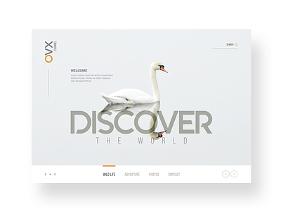 Discover the world - through beautiful design! branding chic clean design desktop discover travel ui ux website white