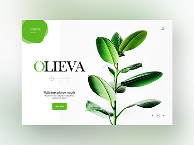 Clean & Green Website Design branding clean design flat font fullwidth green inspiration nursery plant plant based plants responsive typograpgy ui ux web design webdesign website white