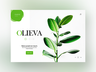 Clean & Green Website Design