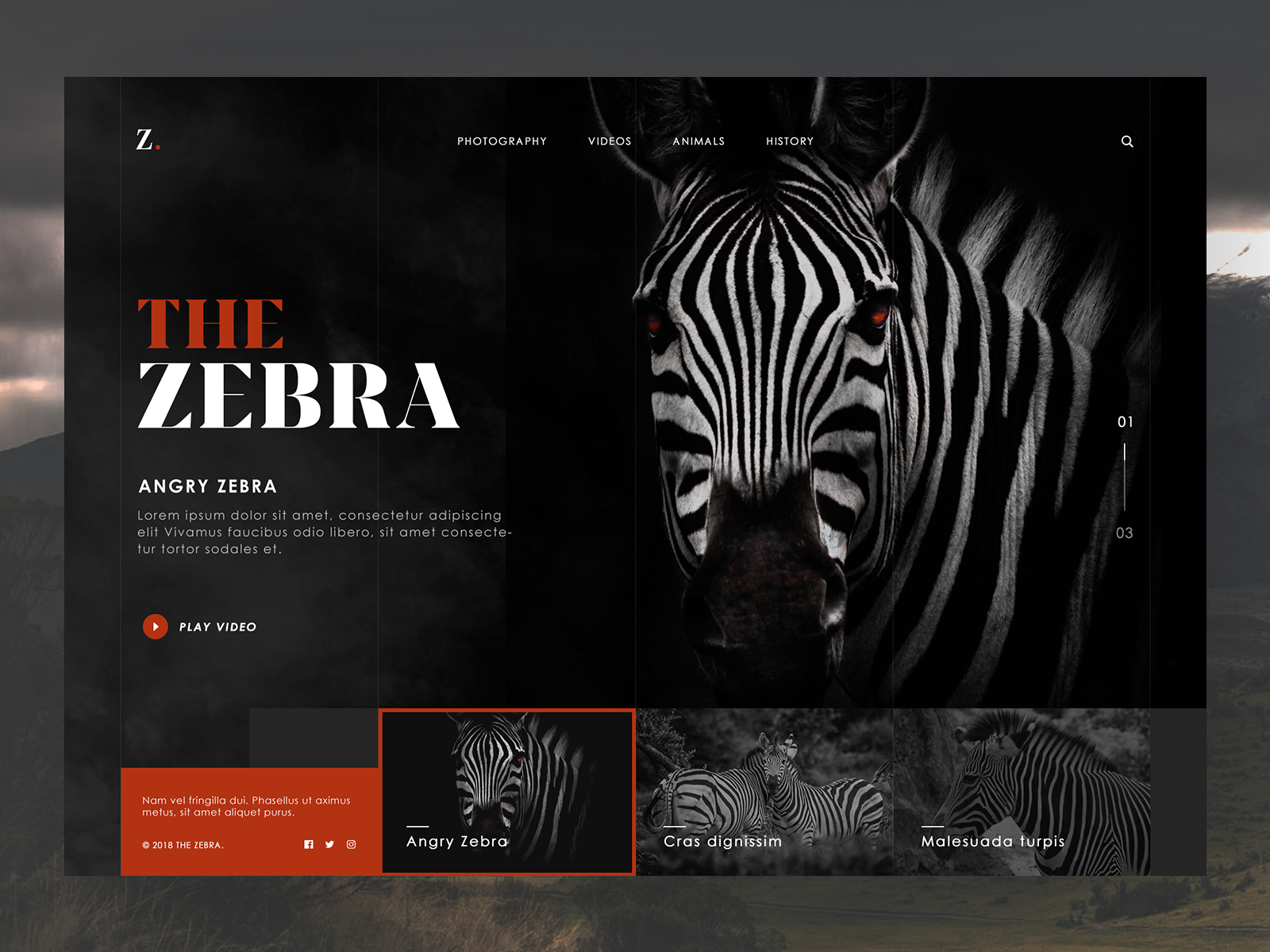 The Zebra animal website design by Luke Peake for TIB Digital on Dribbble