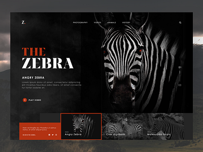 The Zebra - animal website design animal animal art branding design inspiration logo nature nature illustration photography responsive ui ui design ux ux design webdesign website zebra
