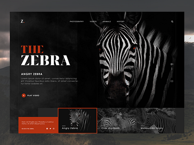 The Zebra - animal website design