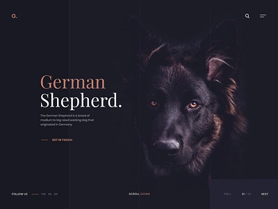 German Shepherd Website Design animal branding clean design designer dog dogs german shepherd inspiration ui ui design ux web web design web designer webdesign website website design websites