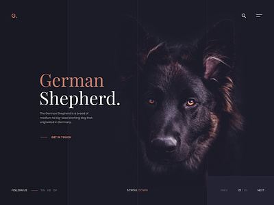 German Shepherd Website Design