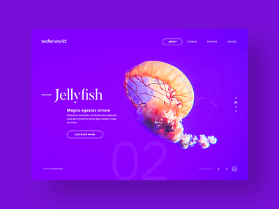 University Marine Project Website Design bold brightcolor color design fish fullwidth gradient inspiration purple responsive typography ui ux webdesign website