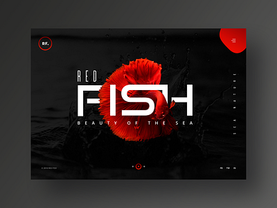 Red Fish Website Design bold contrast dark design fish fullwidth immersive inspiration photography red sea creature ui ux website