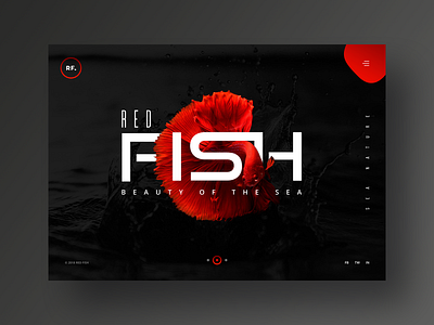 Red Fish Website Design