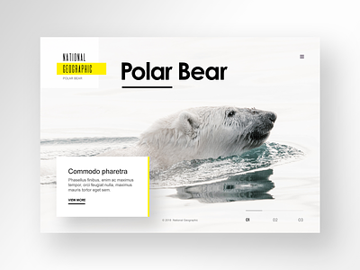 National Geographic Website Design animals clean design fullwidth geographic illustration inspiration logo nature nature illustration nature logo photography polar bear typography ui ux website