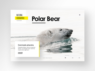 National Geographic Website Design animals clean design fullwidth geographic illustration inspiration logo nature nature illustration nature logo photography polar bear typography ui ux website