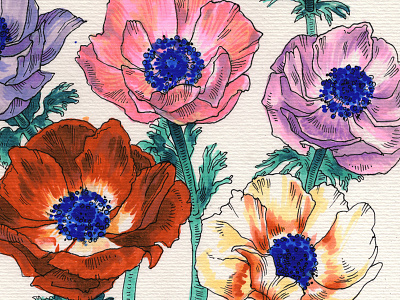 Poppies copics illustration ink markers poppies traditional