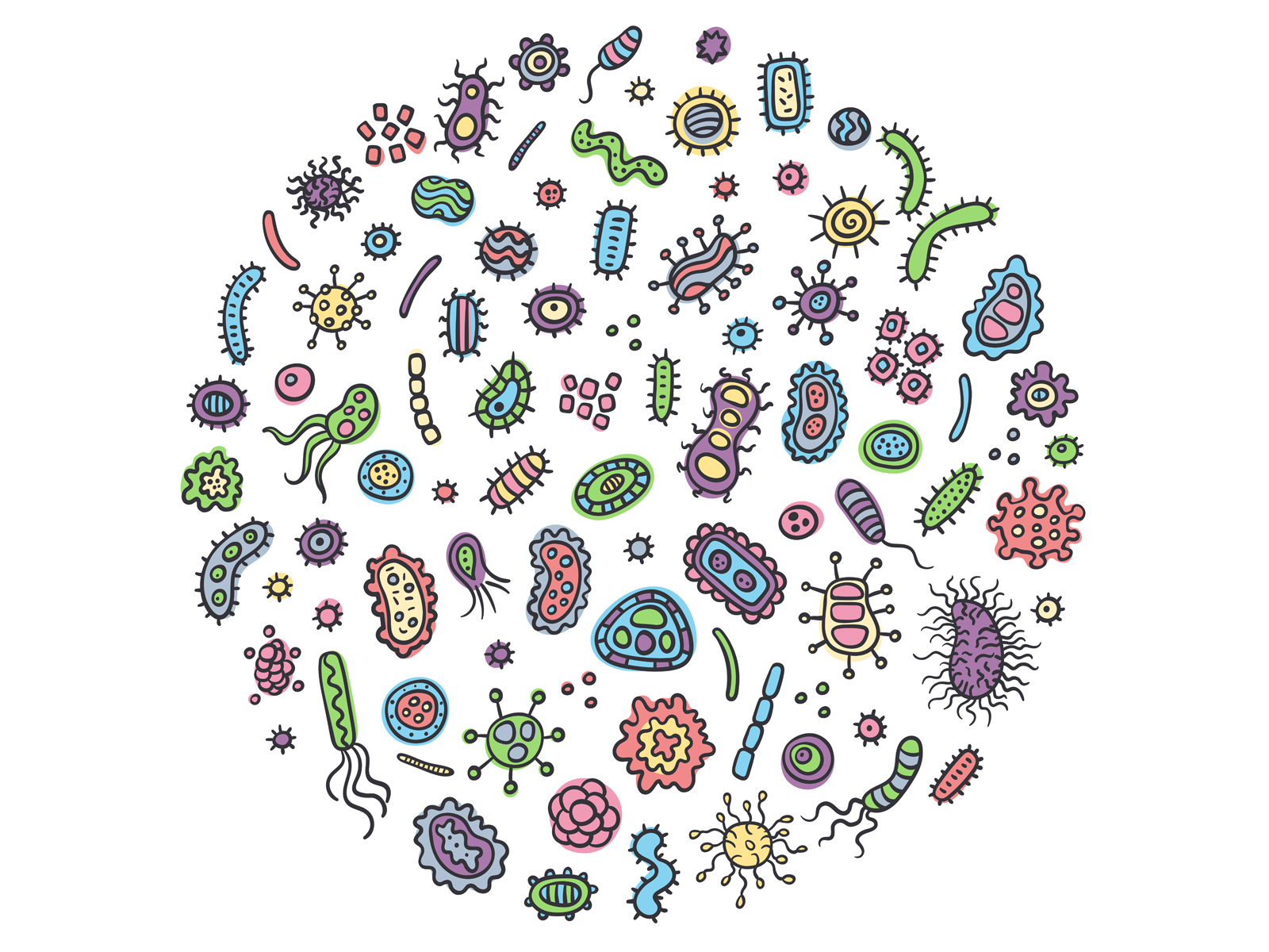 Примитивные организмы бактерии и вирусы