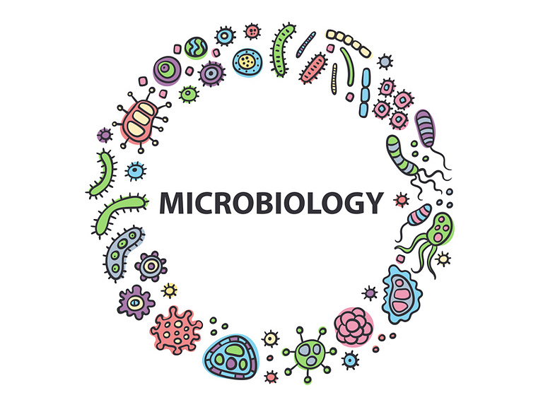 Microbiology logo by Vasilinka on Dribbble