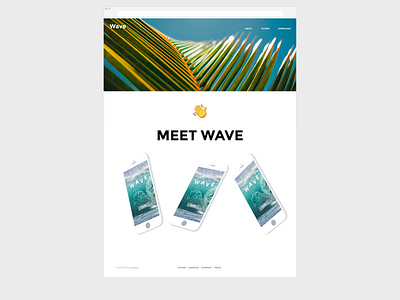 Wave App Website