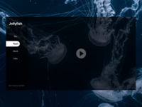 Transparent Studio Website