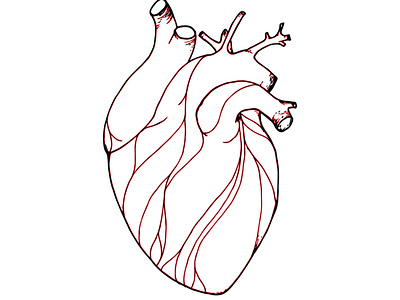 Lyric Video Series: Illustration 1 Heart