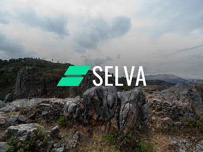 Selva's logo design flat graphic design logo photo background typography