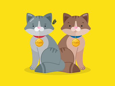 Copycat annoyed cat cats collar copycat graphic design match name vector illustration
