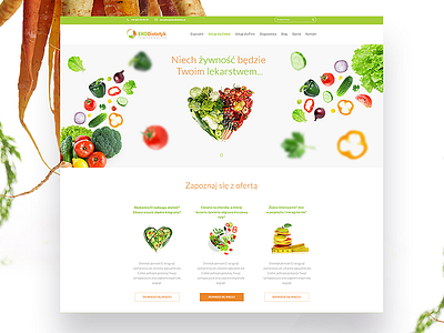 Ekodietetyk - LP design green seo ui ux web webdesign