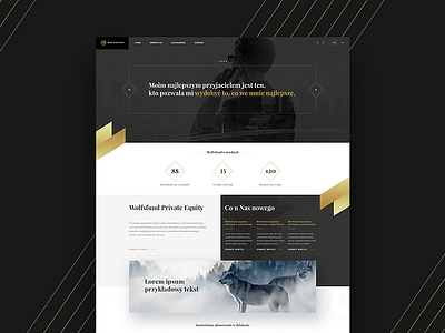 Wolfs - website design