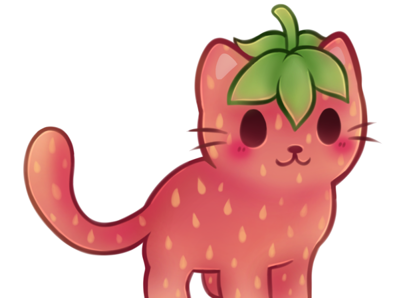 Strawberry Cat by Ani on Dribbble