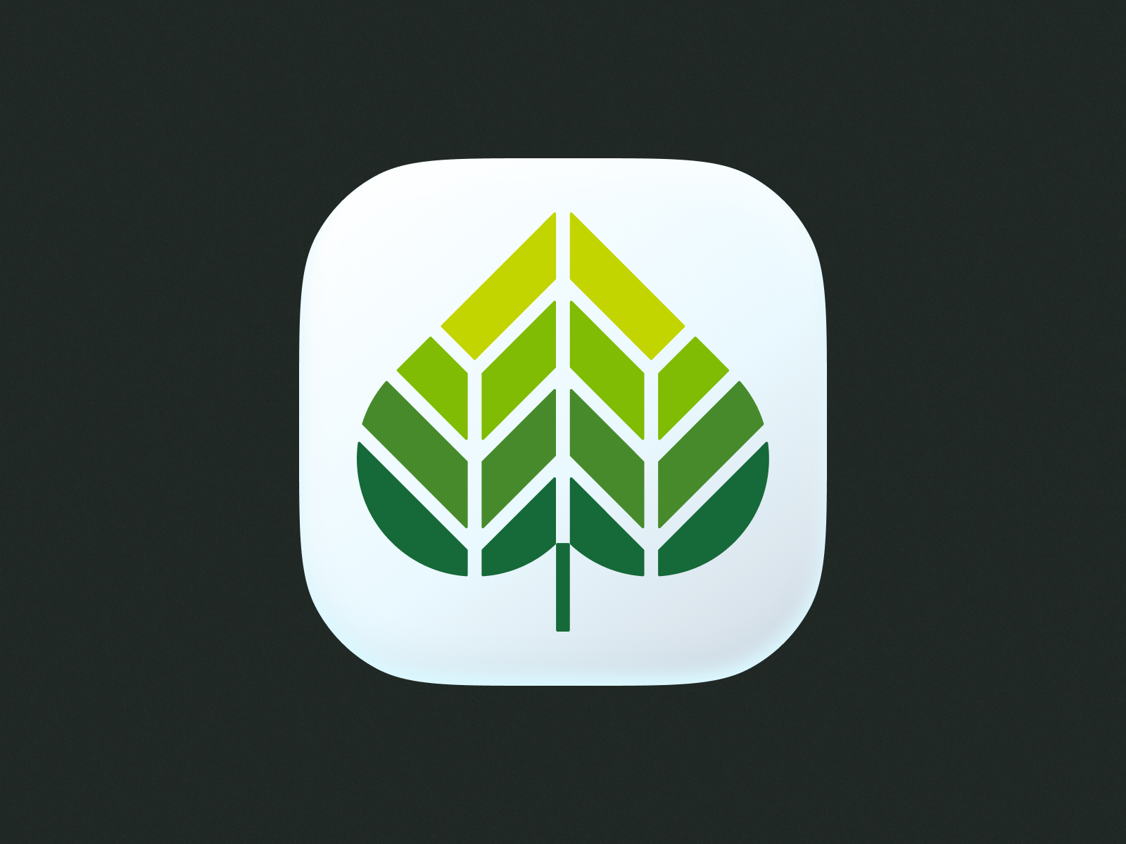 Leaf! by OD LLC ( Nour Oumousse ) on Dribbble