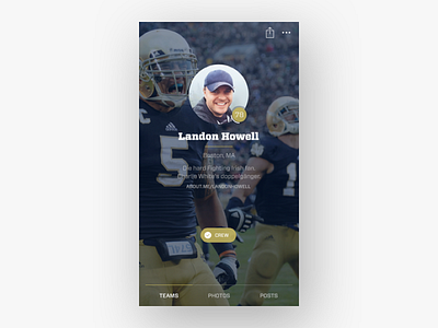 Fancred — Profile Cover design flat ios mobile personalized profile sports ui ux