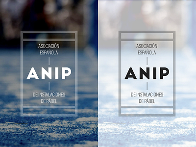 ANIP | Asociación Española de Instalaciones de Pádel branding padel padel logo