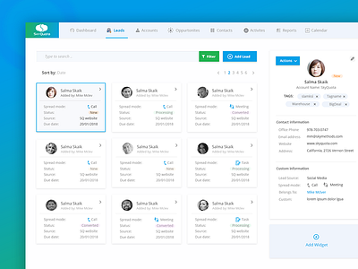 Skyquota CRM ui ux webapp website