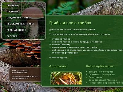 Mushrooms concept creative design desktop graphic design illustration modern mushroom ui uiux ux visual design web design website