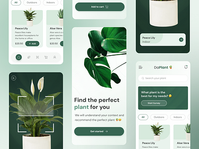 DaPlant — Care App for your Plants app app design garden mobile app mobile design plant app plant care plant garden plantin plants ui ui design user interface ux
