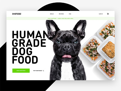 Human grade dog food design dog food green hero home landing page visual website
