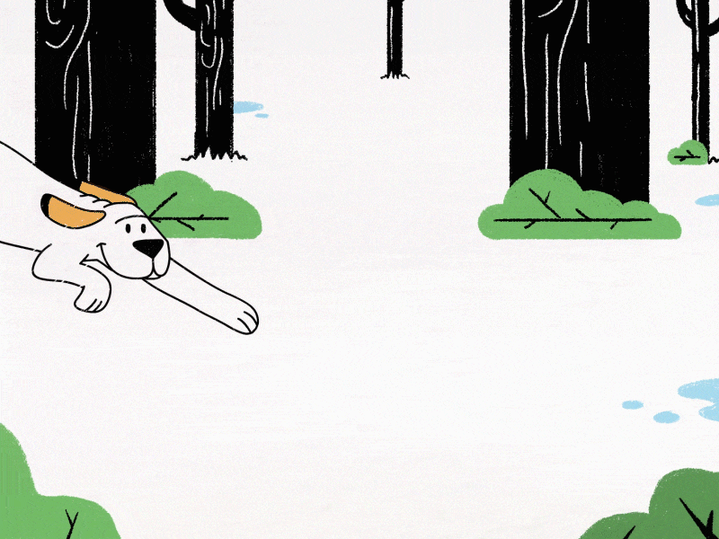 Birdnip animation bestfriends bird celanimation dog framebyframe love motion rain