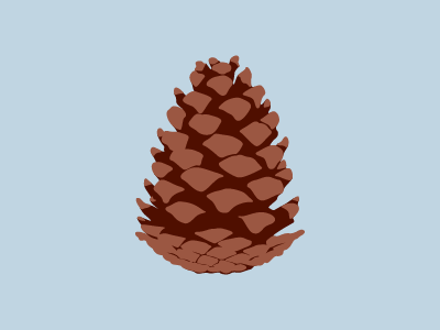 Pinecone Icon brand branding design illustration illustrator logo logos marketing vector vector art