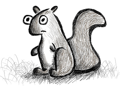 Squirrel animal cartoon illustration