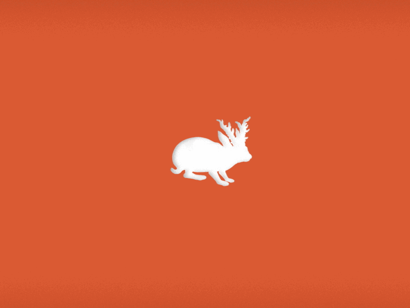 Lapin pour gif2